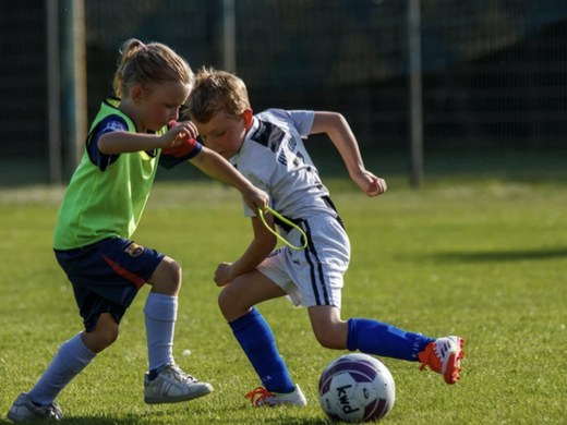 Sport