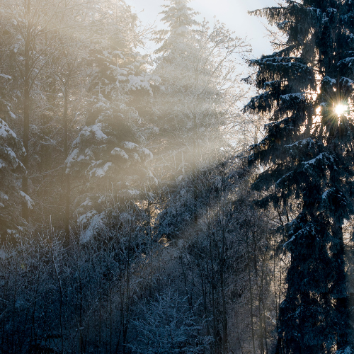 weinig zonlicht in de winter